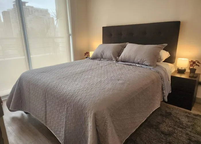 Hom I Nuevo Y Moderno Depto 2D2B 3 Pax Santiago